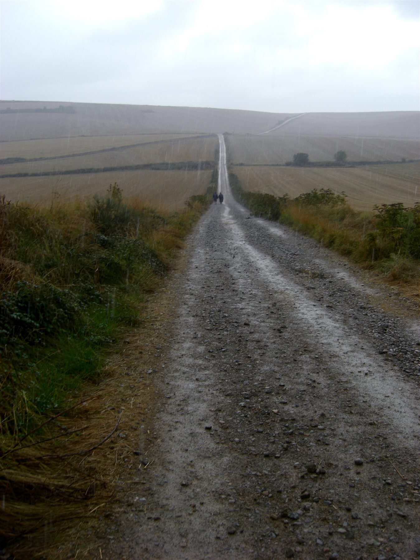 A long Camino road in rainy weather.
